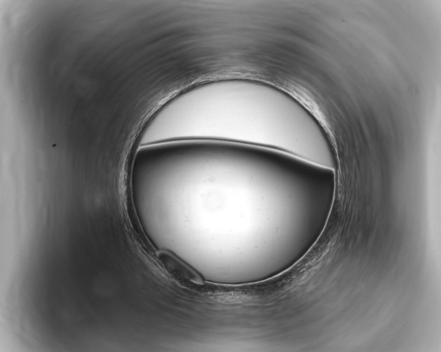 X0000093740389200710160754