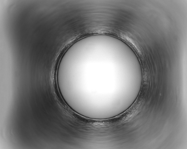 X0000093740394200710160754