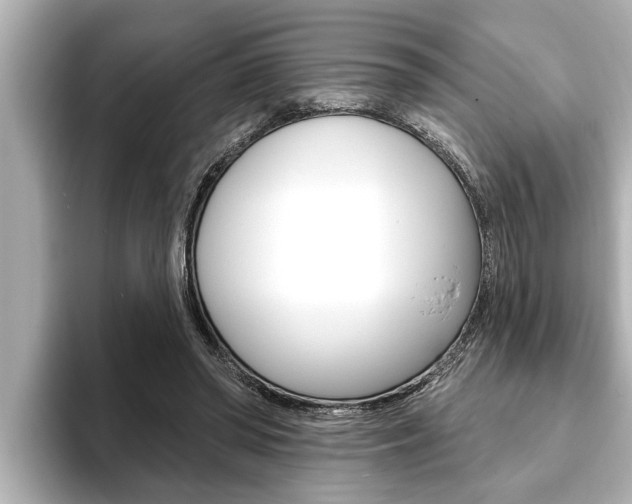 X0000093740398200710160754