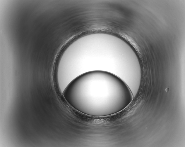 X0000093740399200710160754