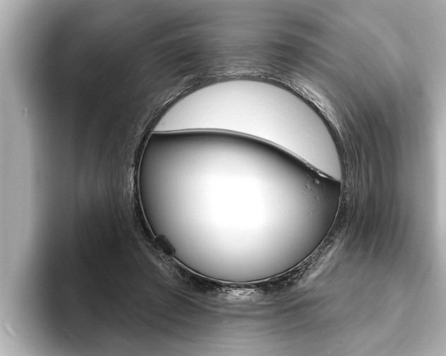 X0000093740401200710160754