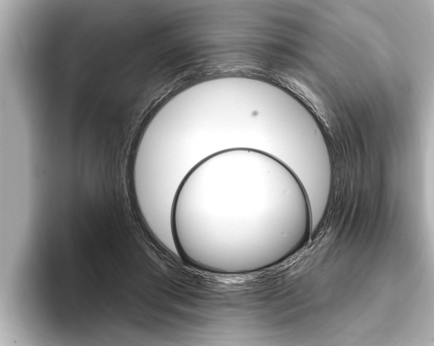 X0000093740405200710160754