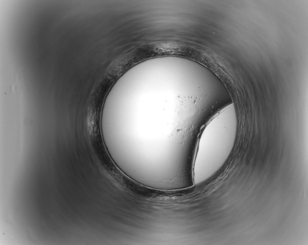 X0000093740408200710160754