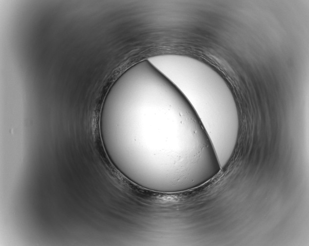 X0000093740409200710160754