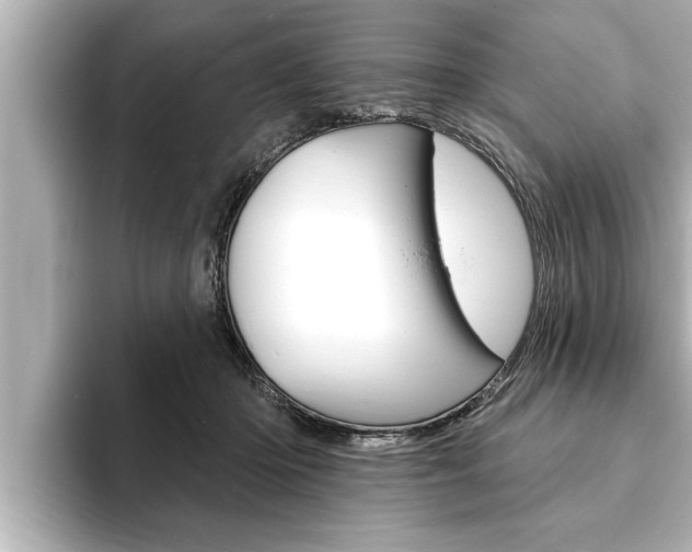 X0000093740414200710160754