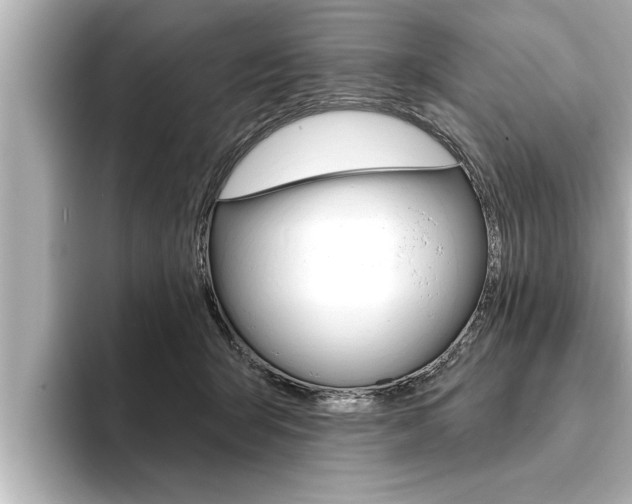 X0000093740415200710160754