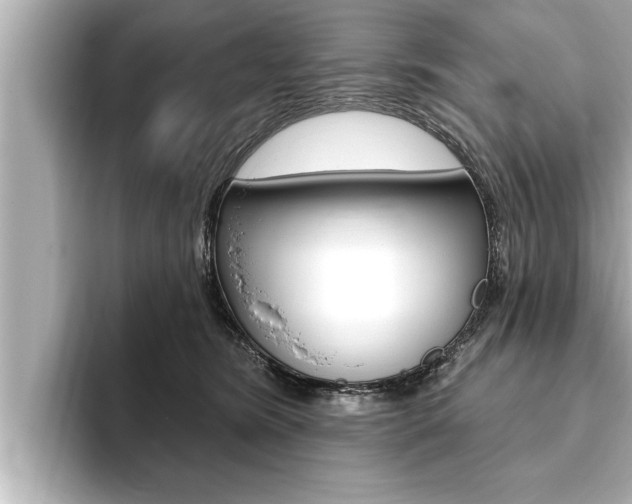 X0000093740420200710160754