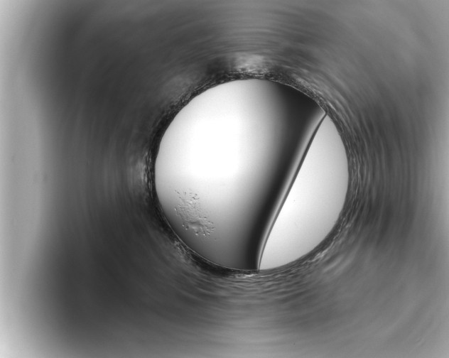 X0000093740424200710160754