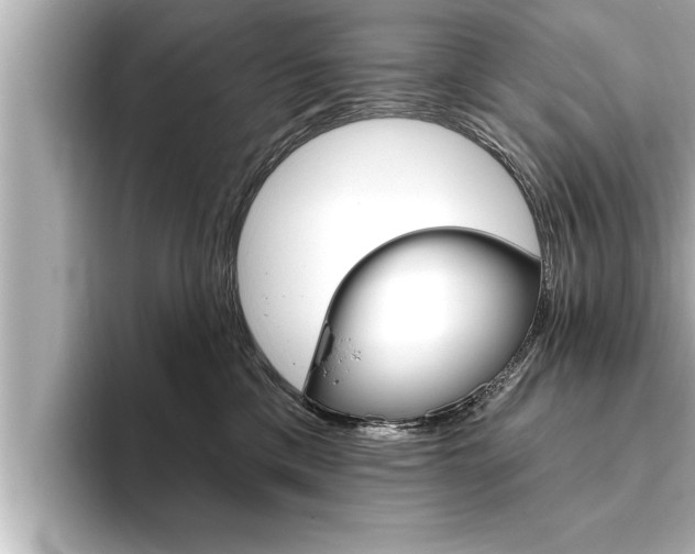 X0000093740425200710160754