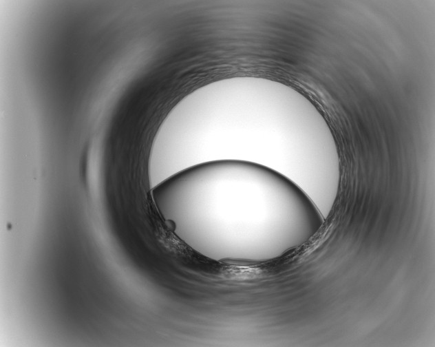 X0000093740429200710160754