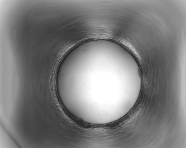 X0000093740433200710160753