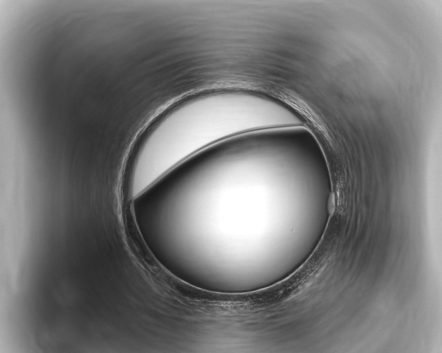 X0000093740436200710160753