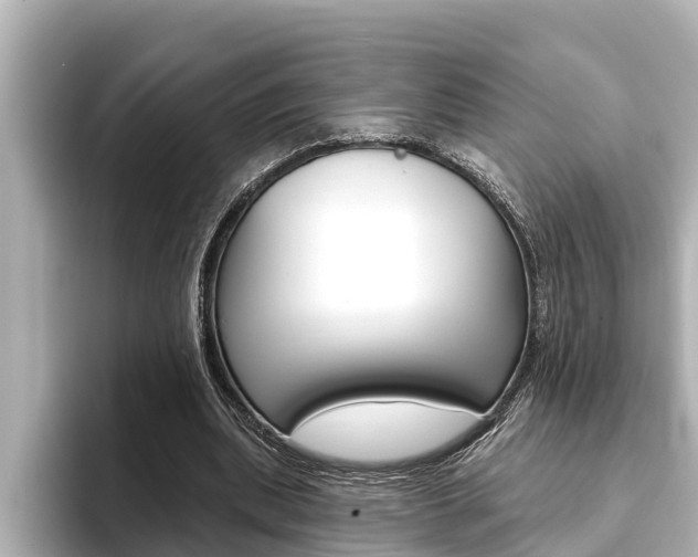 X0000093740439200710160753