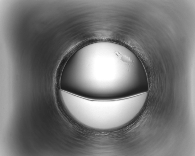 X0000093740440200710160753