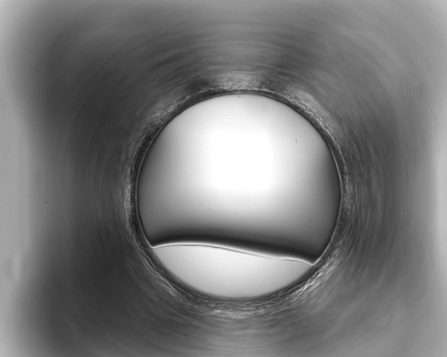 X0000093740441200710160753