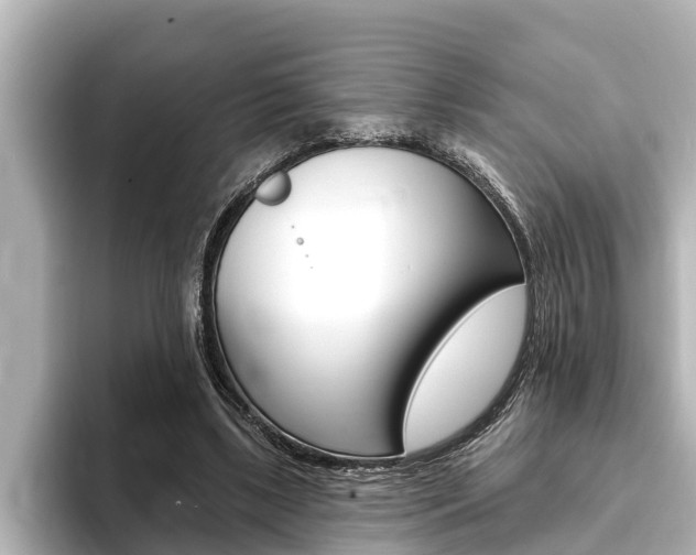 X0000093740443200710160753