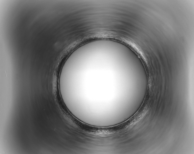 X0000093740445200710160753