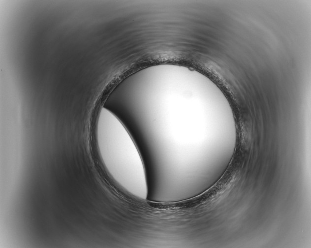 X0000093740447200710160753
