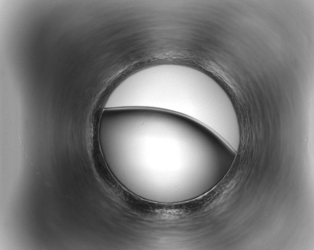 X0000093740448200710160753