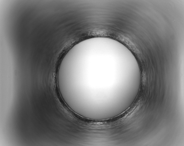 X0000093740449200710160753