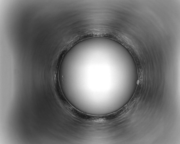 X0000093740456200710160753
