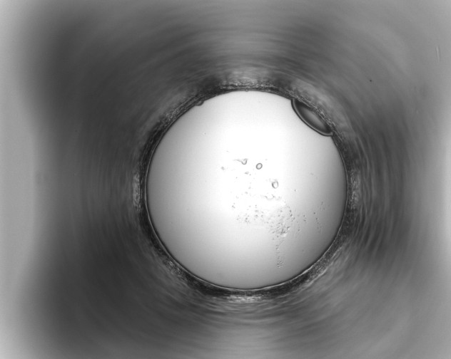 X0000093740457200710160753
