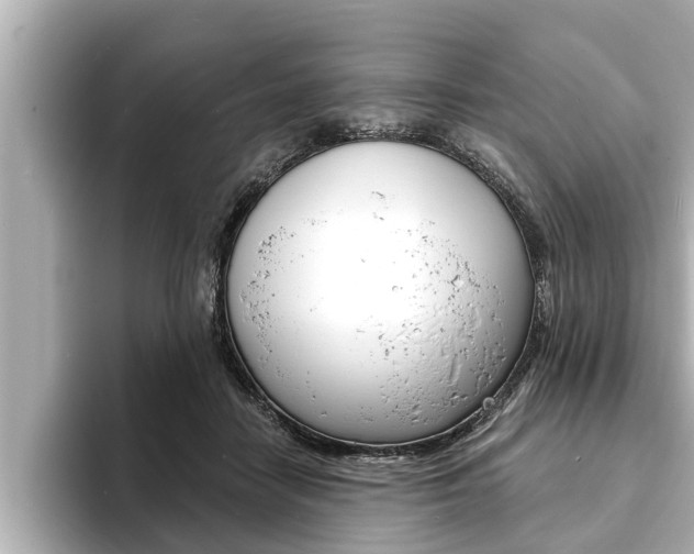 X0000093740458200710160753