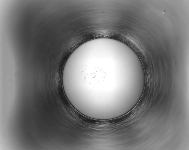 X0000093740459200710160753