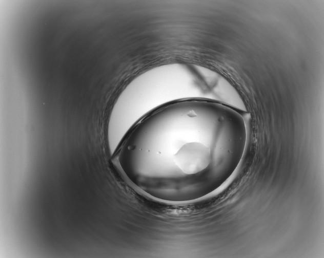 X0000093740466200710160753