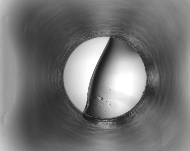 X0000093740470200710160753