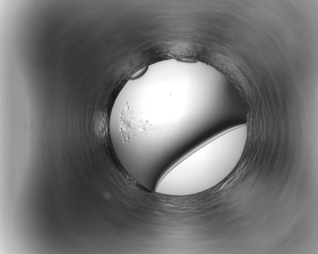 X0000093740478200710160754