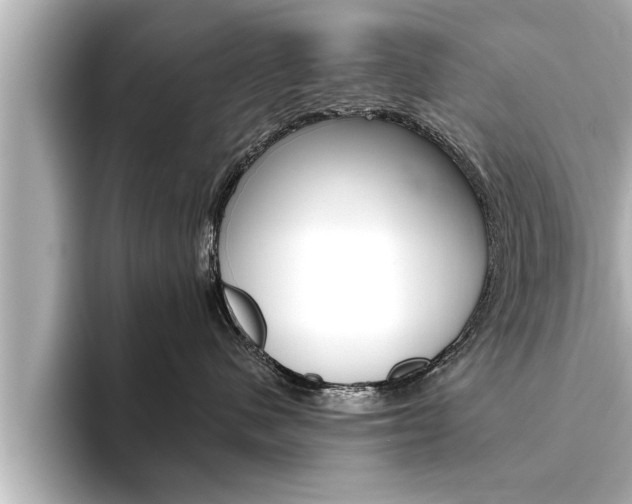 X0000093740480200710160754