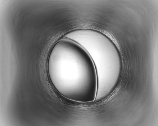 X0000093740481200710160753
