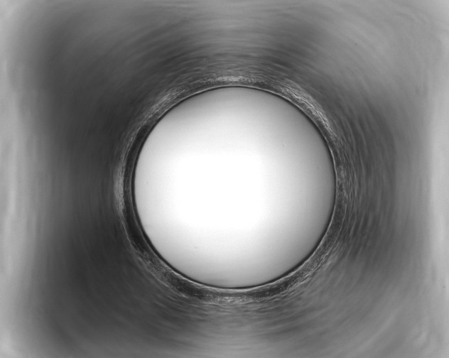 X0000093740482200710160753
