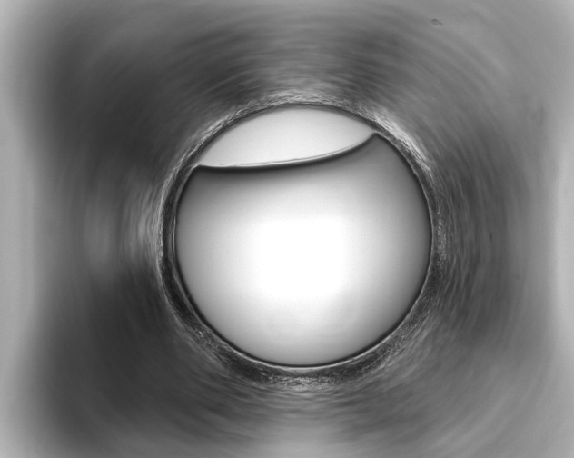 X0000093740486200710160753