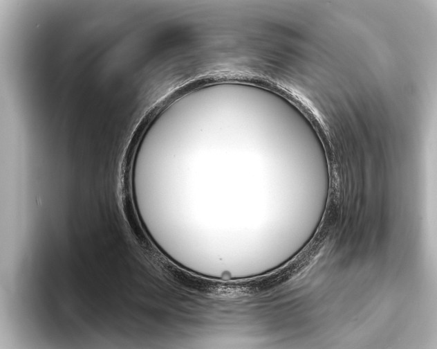 X0000093740487200710160753