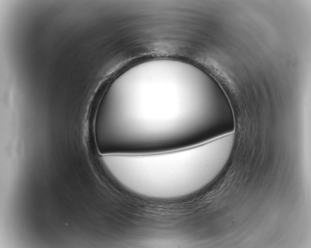 X0000093740488200710160753