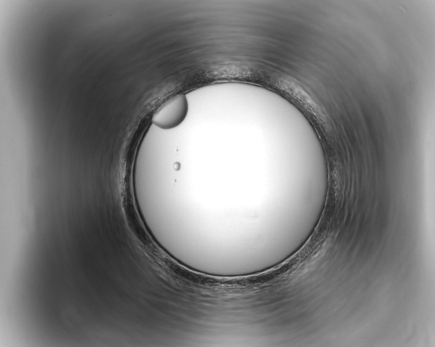 X0000093740490200710160753