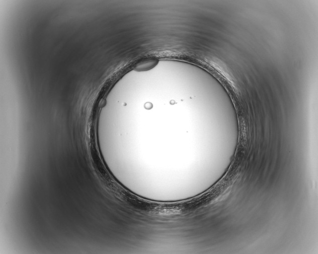X0000093740491200710160753