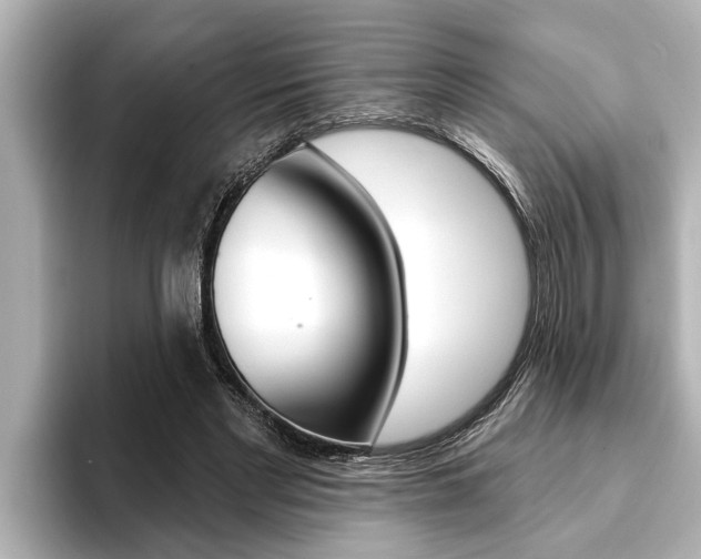 X0000093740493200710160753