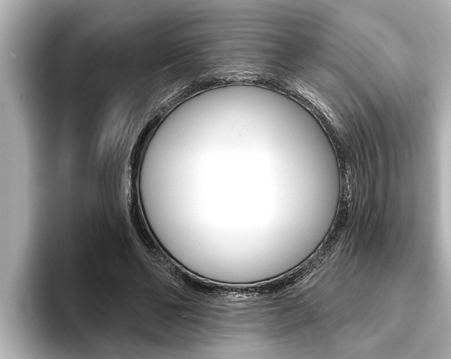 X0000093740494200710160753