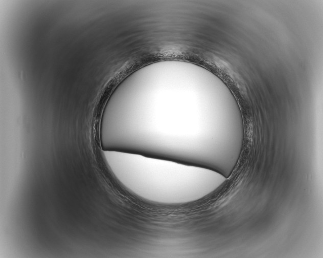 X0000093740495200710160753