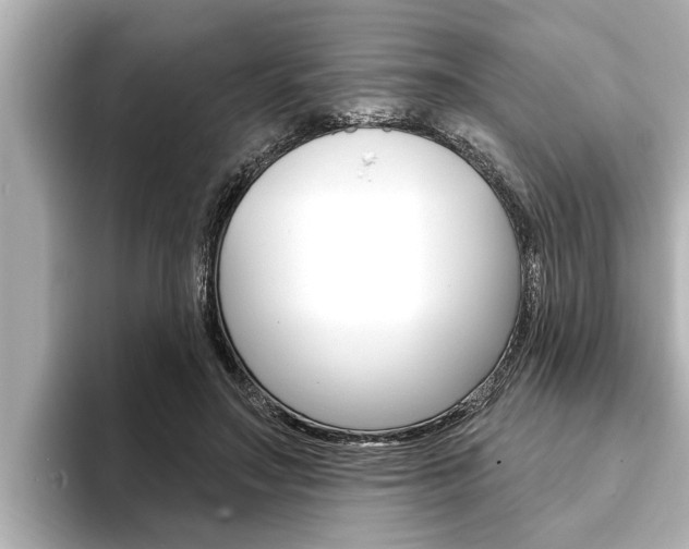 X0000093740499200710160753