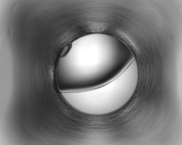 X0000093740501200710160753