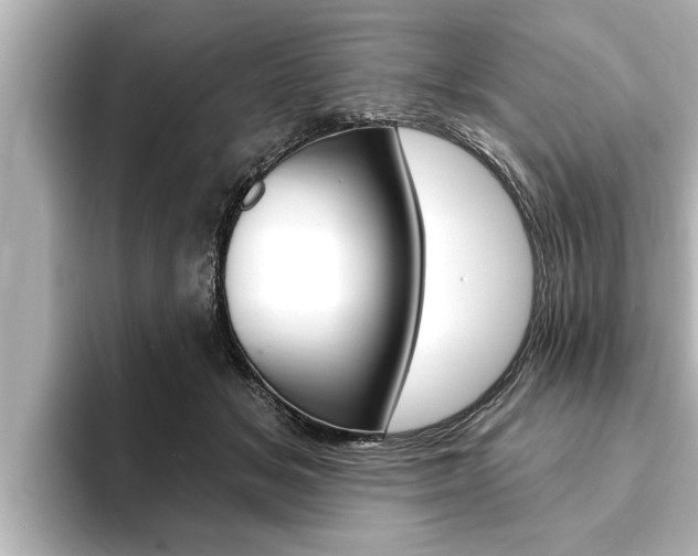 X0000093740509200710160753