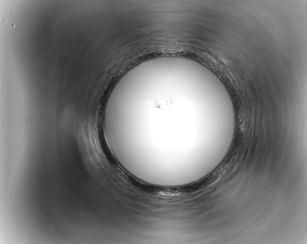 X0000093740515200710160753