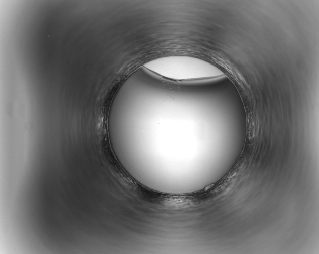 X0000093740521200710160752