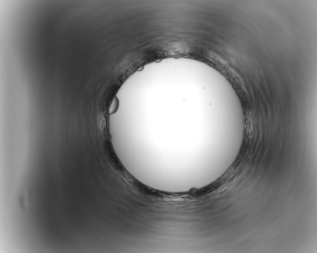 X0000093740523200710160752