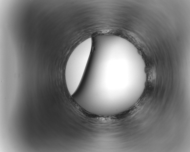 X0000093740524200710160752