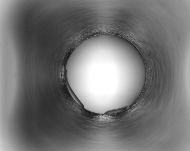 X0000093740528200710160752